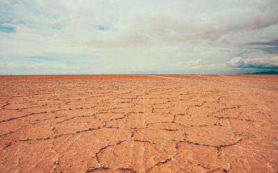 Xerostomia: Causes and Treatments for Dry Mouth