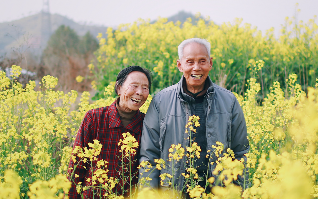 an older couple in a field